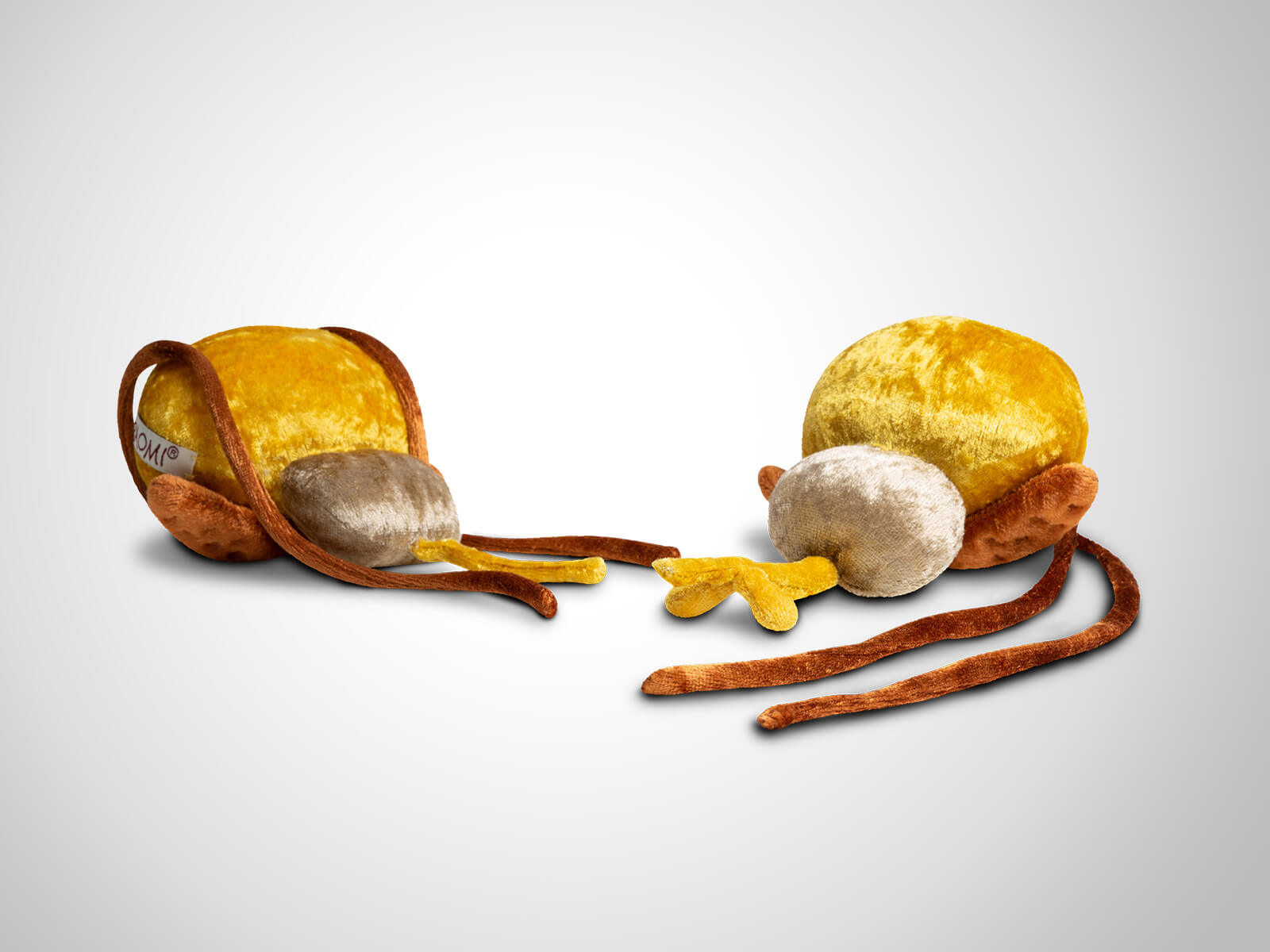 Paomi Prostata mit Harnblase und Cowpersche Drüsen