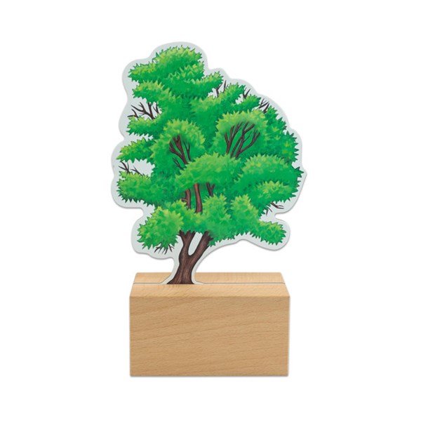 Bäume bestimmen leicht gemacht mit Holzaufstellern