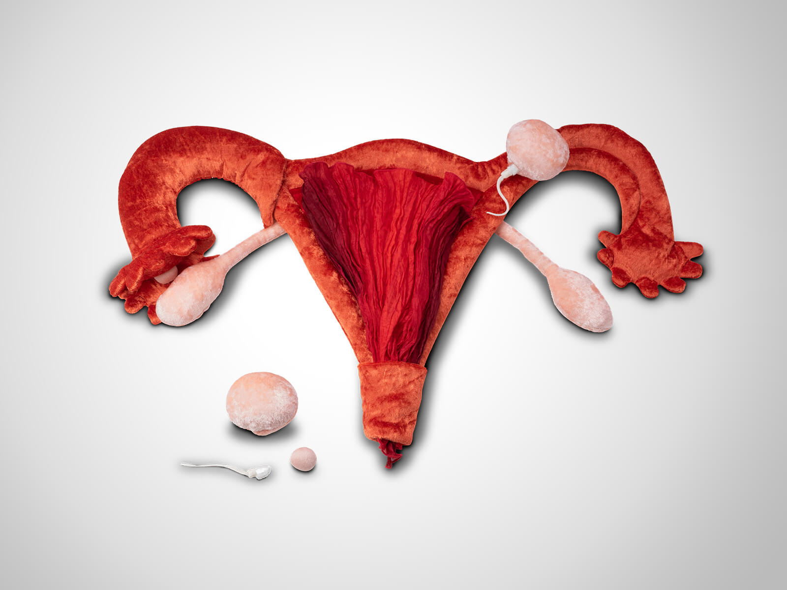 Paomi Zyklusmodell „Anke“