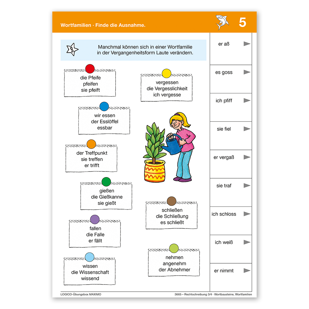 LOGICO Übungsbox Maximo - Rechtschreibung 3/4