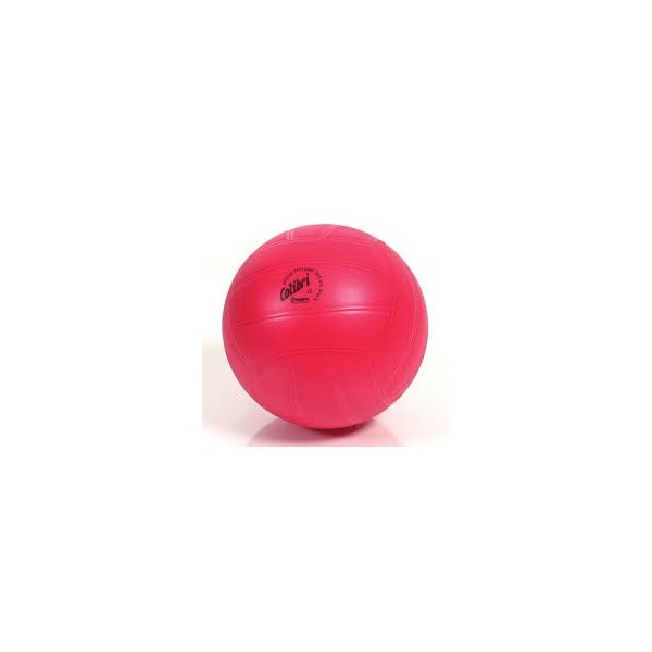 Colibri Volleyball rot