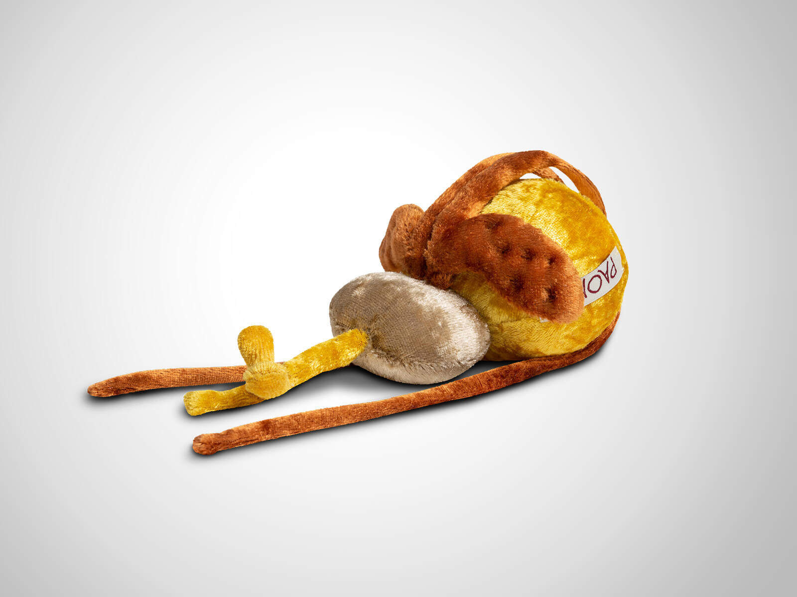 Paomi Prostata mit Harnblase und Cowpersche Drüsen