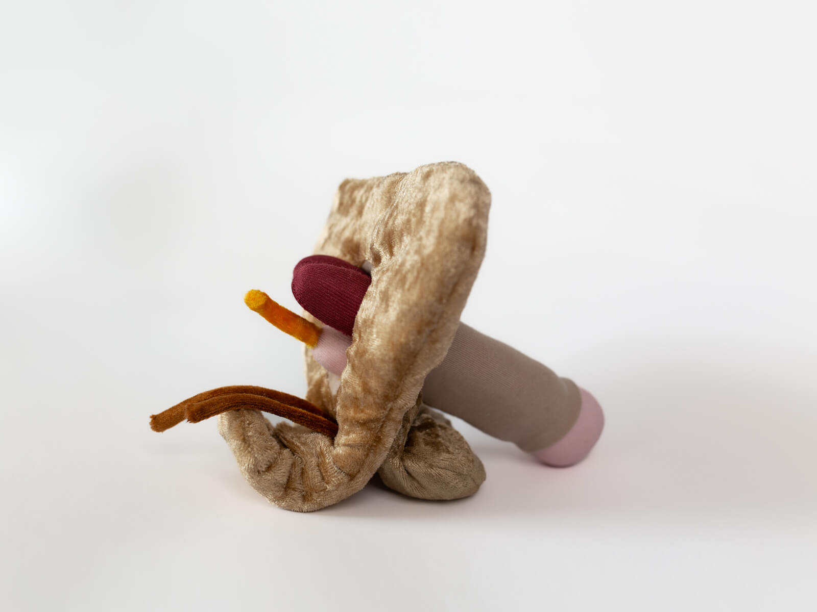 Paomi Penis groß flach variabel „Werner“