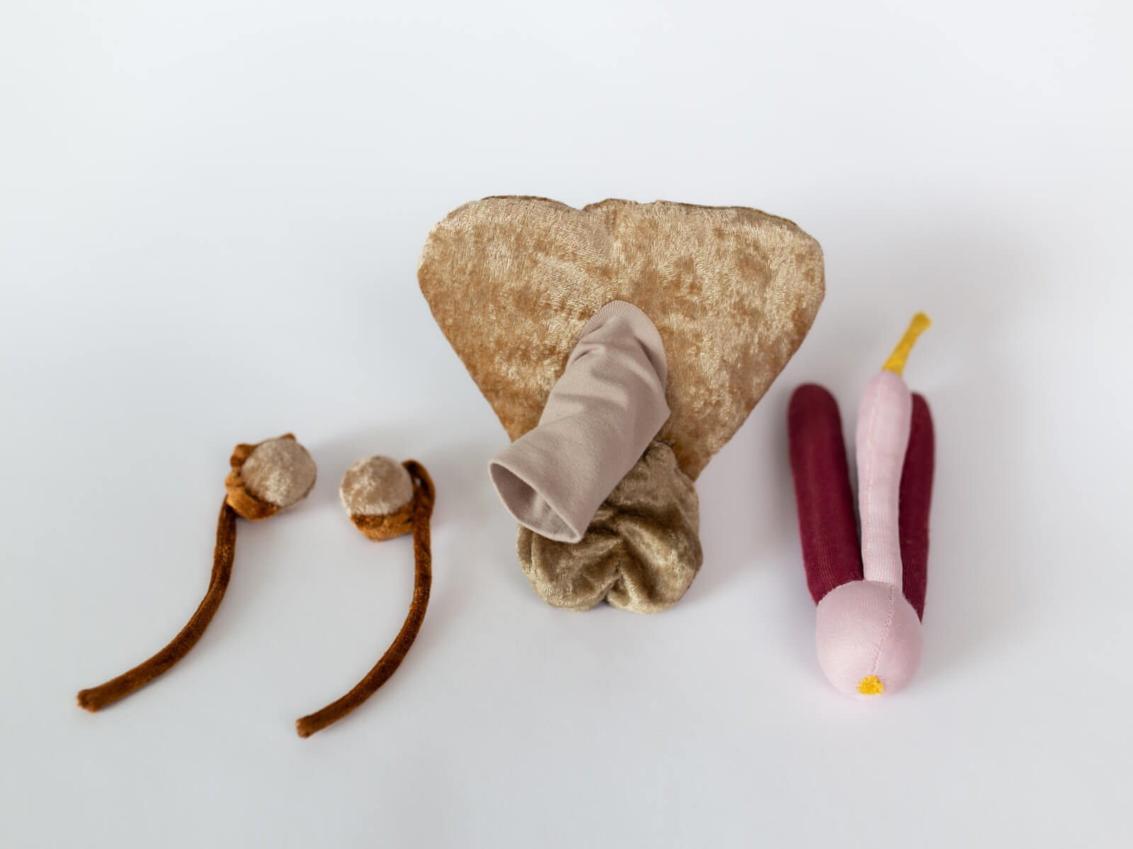 Paomi Penis groß flach variabel „Werner“