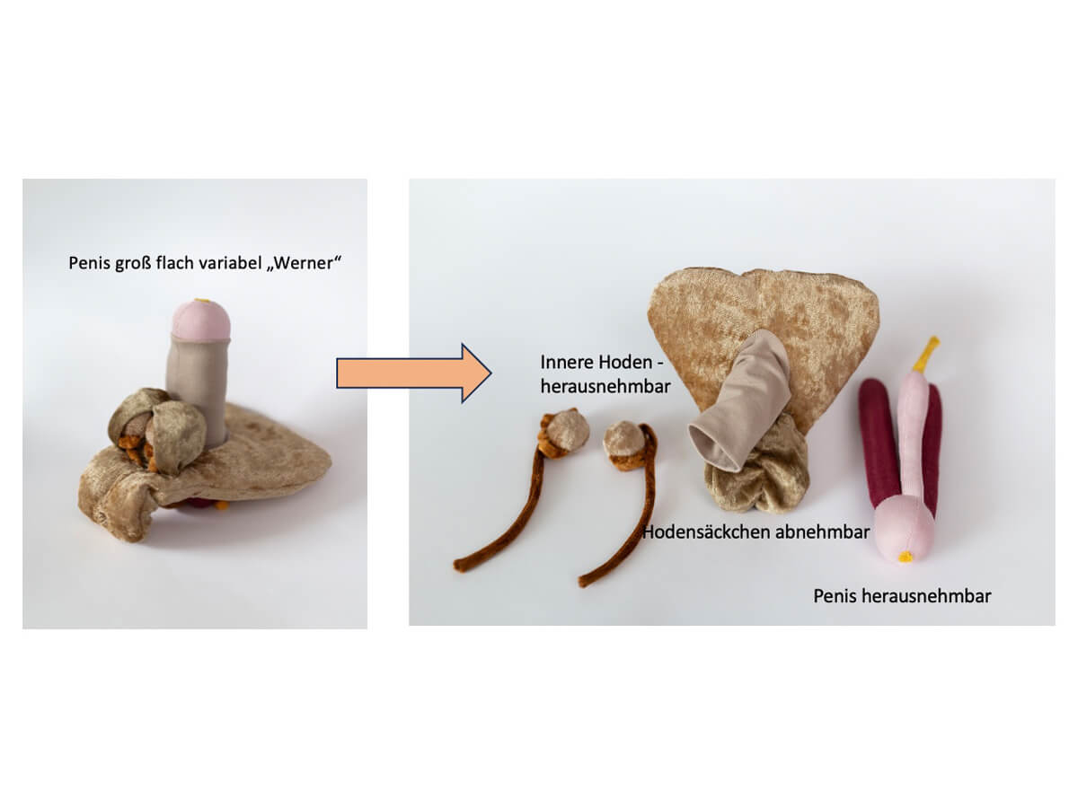 Paomi Penis groß flach variabel „Werner“