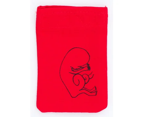 Betzold Ein Kind wächst heran