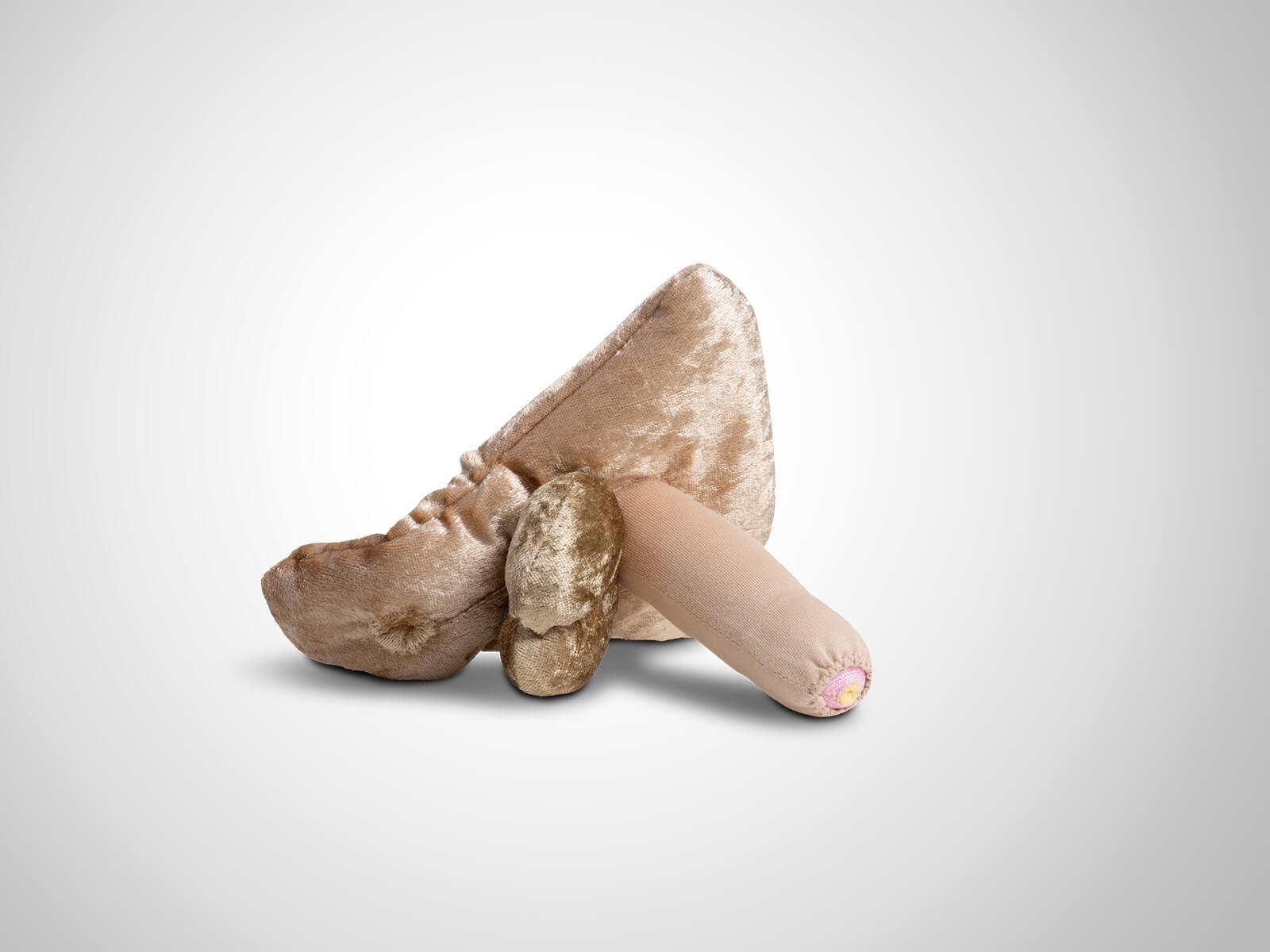 Paomi Penis groß flach