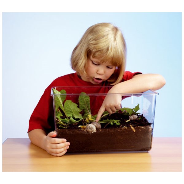 Vivarium, klein 6 Liter, mit Deckel