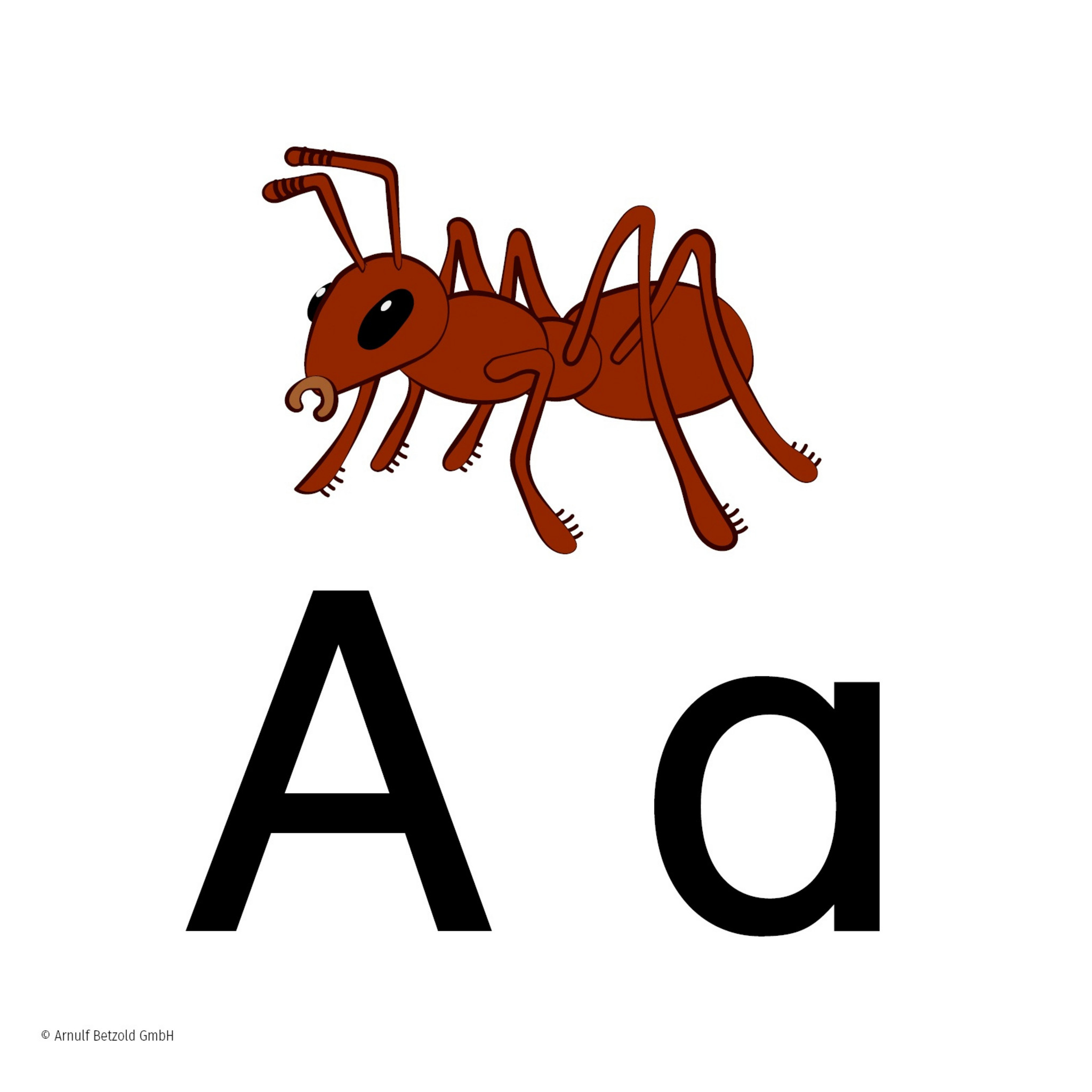 Tellimero EDU Anlautkarten