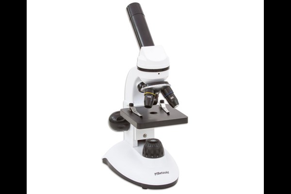 Mikroskop für Einsteiger